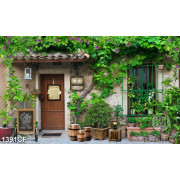 Tranh cà phê dán tường quán nhỏ xinh đẹp bao phủ đầy lá xanh 