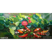 Tranh hoa sen và cá Koi trong đầm