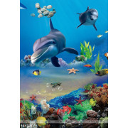 Tranh Đại Dương, cá heo 3D in gạch đẹp