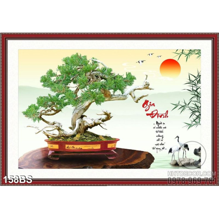 Chậu bonsai cây sung gia đình sum vầy
