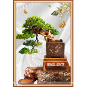 Chậu bonsai đẹp ấn tượng lụa 3d