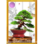 Chậu bonsai cây khế lụa 3d