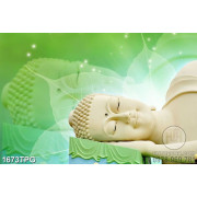 Tranh Tượng Phật niết bàn nền lá bồ đề