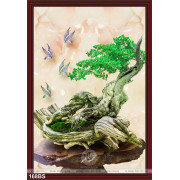 Chậu bonsai gốc gỗ độc lạ đẹp