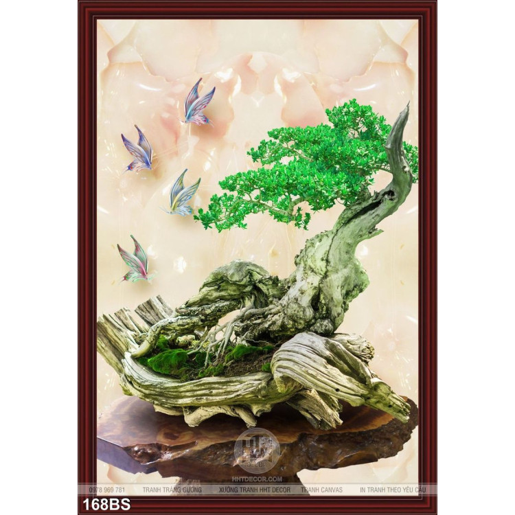 Chậu bonsai gốc gỗ độc lạ đẹp
