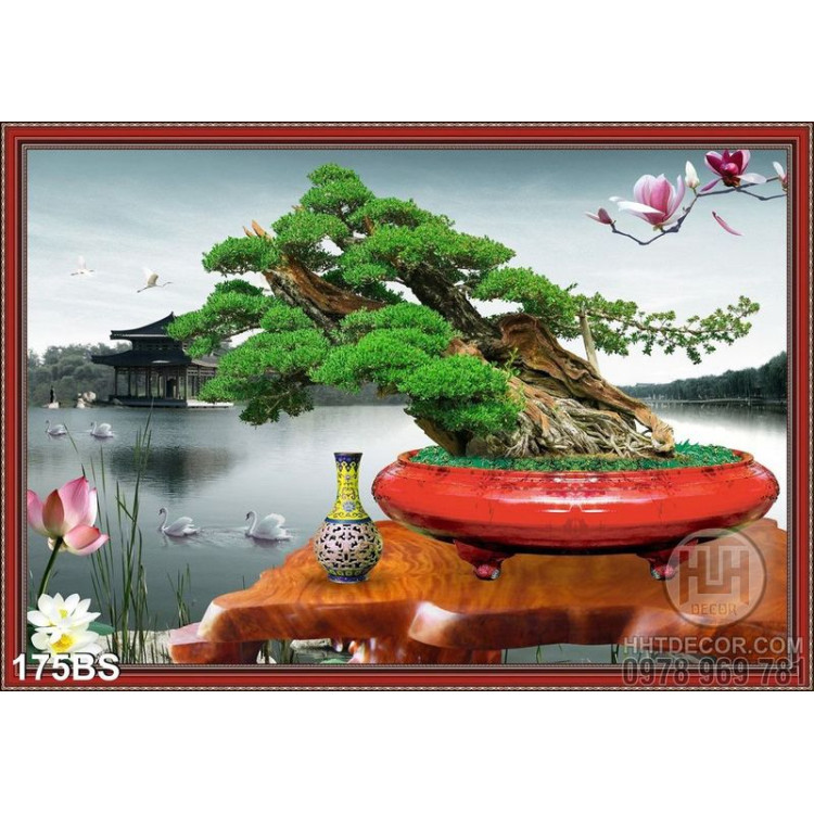 Chậu bonsai gốc lớn và hồ nước