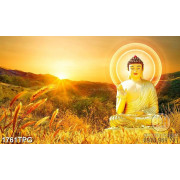 Tranh Phật A Di Đà trên núi siêu nét