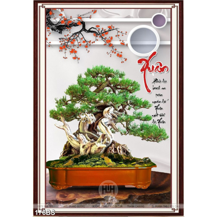 Chậu bonsai mùa xuân nghệ thuật