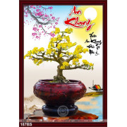 Chậu bonsai cây mai năm mới an khang 2020
