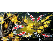 Tranh cây mai vàng và đàn cá koi trong đêm in canvas
