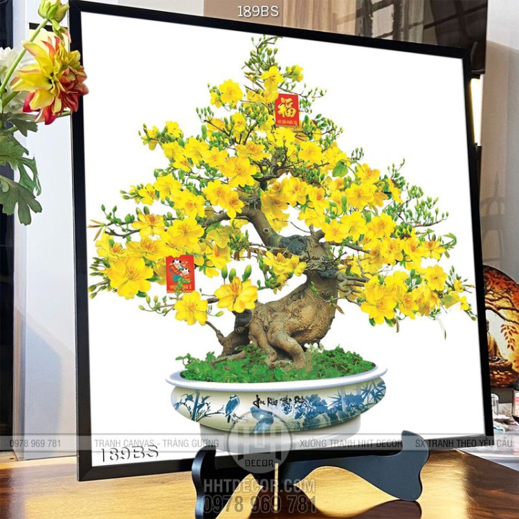 Chậu bonsai hoa mai tết 2020