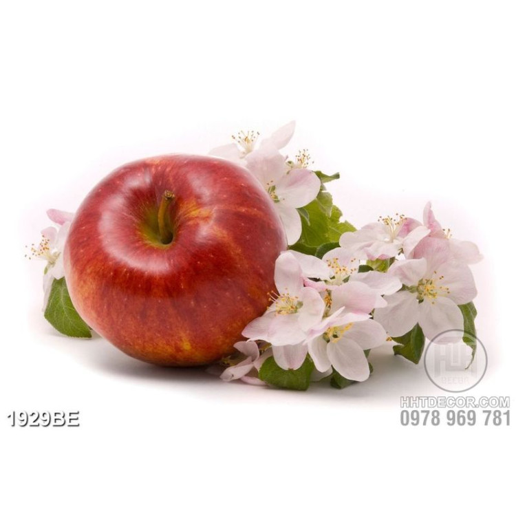 Tranh táo và hoa