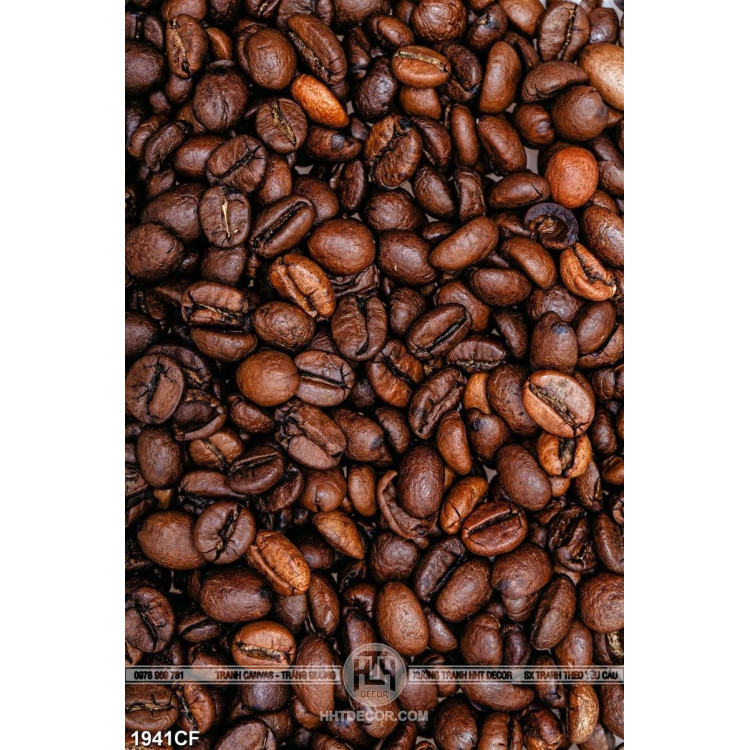 Tranh hạt coffee dán tường 