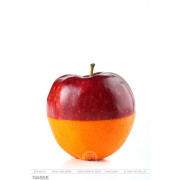 Tranh quả táo 2 màu