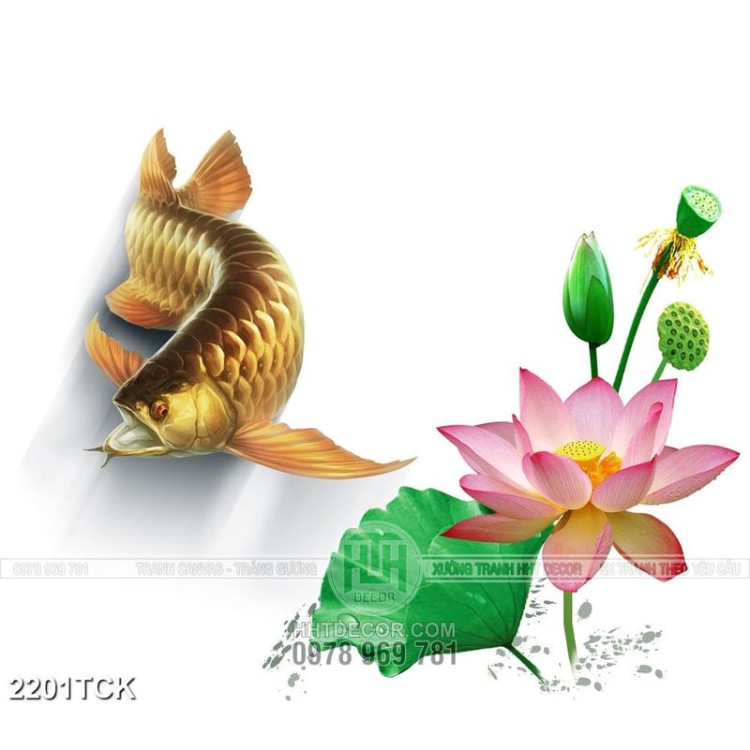 Tranh in tường chú cá chép vàng bên bông hoa sen hồng