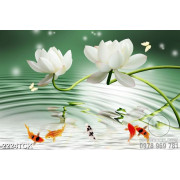 Tranh những bông hoa sen trắng bên hồ cá chép vàng