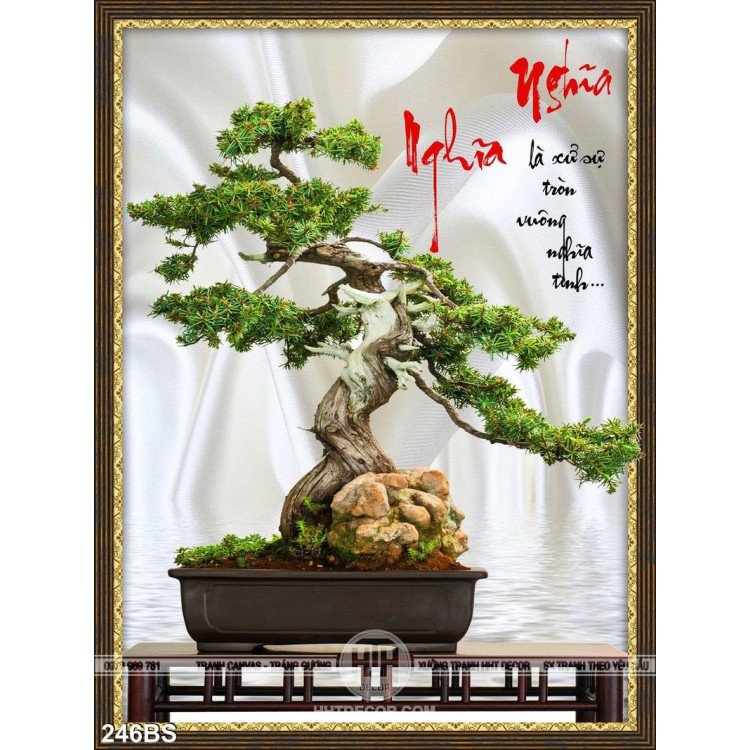 Tranh bonsai nhật bản tạo kiểu độc đáo
