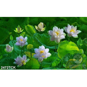 Tranh đầm hoa sen trắng chen chúc bạt ngàn lá xanh in 8d