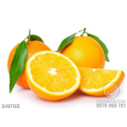 Tranh trái cam vàng