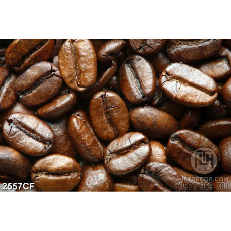 Tranh hạt cà phê nâu 
