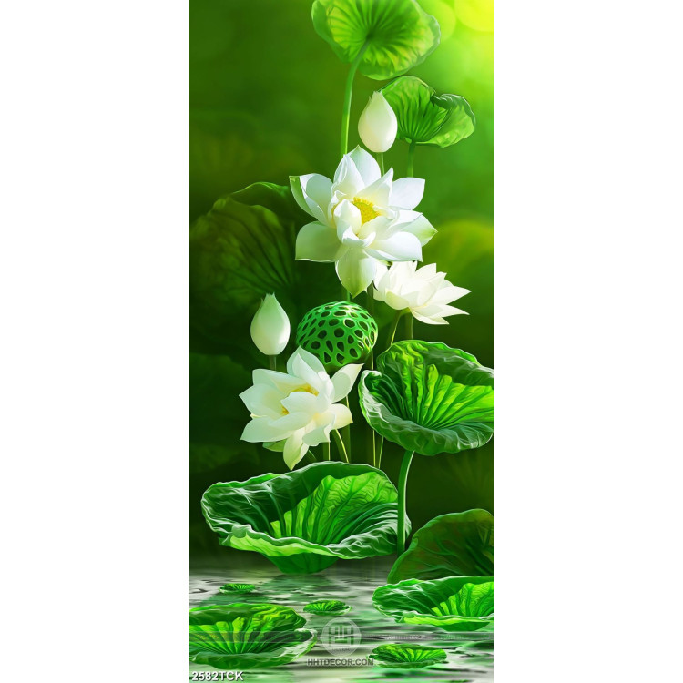 Tranh in canvas những bông hoa sen trắng đan xen lá xanh