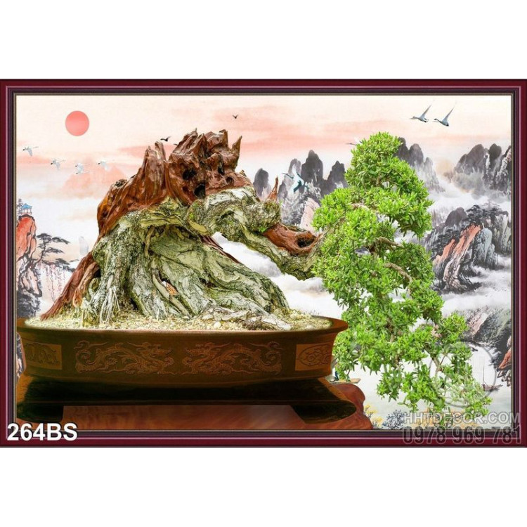 Chậu bonsai gốc lớn  ấn tượng