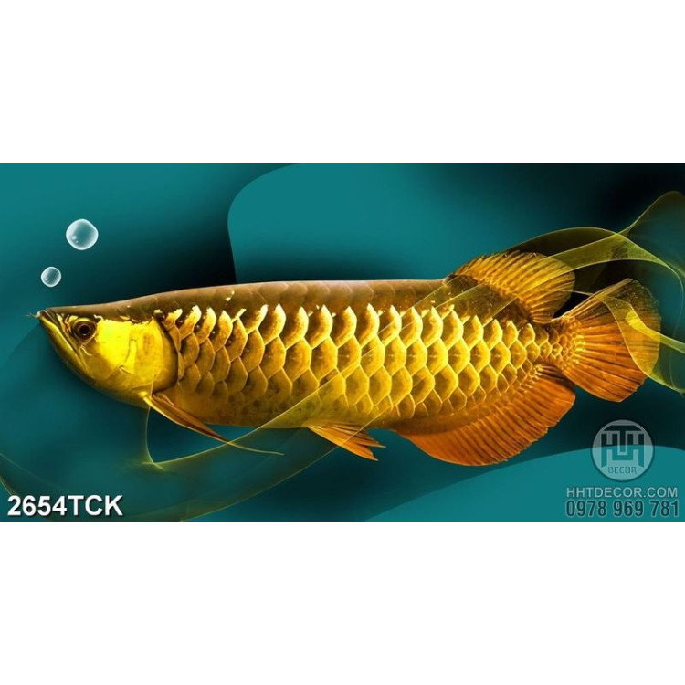 Tranh in uv chú cá chép vàng khổng lồ trong dòng nước