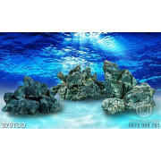 File tranh psd san hô dưới đáy biển