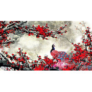 Tranh chim công và hoa đào đỏ đẹp wall