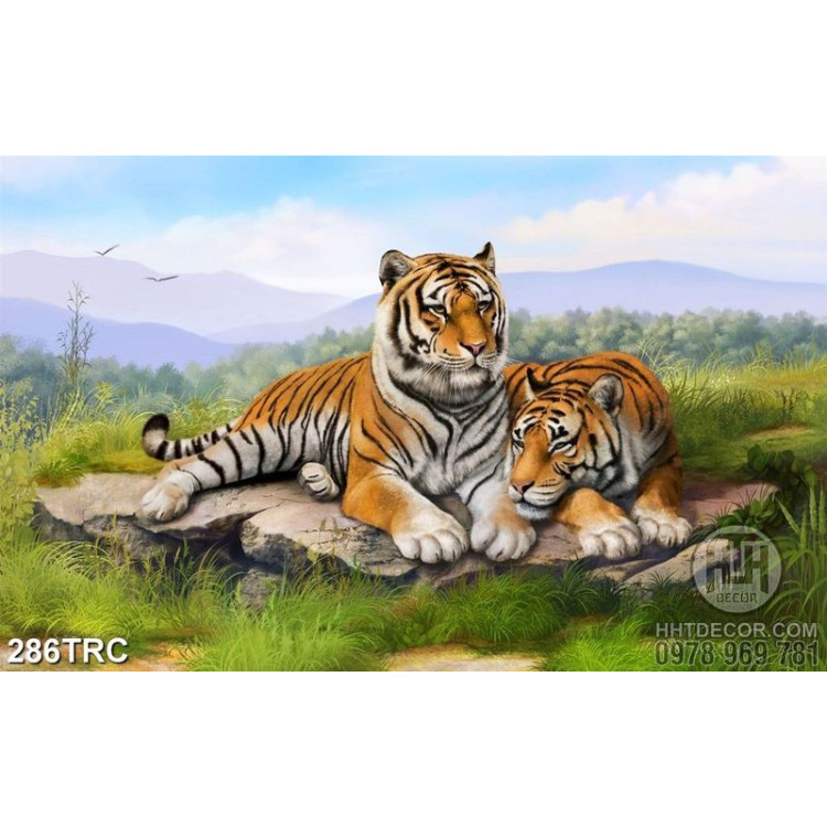  Tranh 3d hai chú hổ nằm trên đồng cỏ xanh 