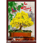 Chậu bonsai hoa mai an khang thịnh vượng 2020