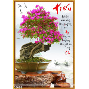 Tranh bonsai hoa giấy báo hiếu