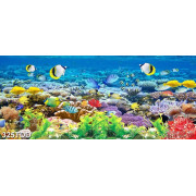 Tranh đàn cá và san hô dưới biển psd