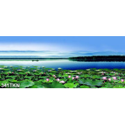 Tranh hồ Sen phong thủy đẹp nhất