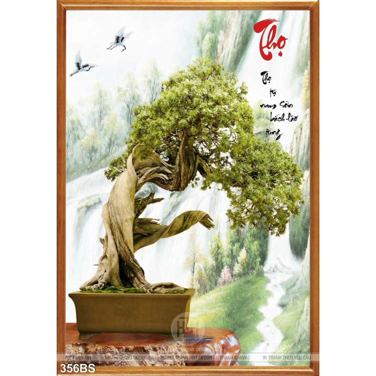  Chậu bonsai nghệ thuật in gạch đẹp năm mới