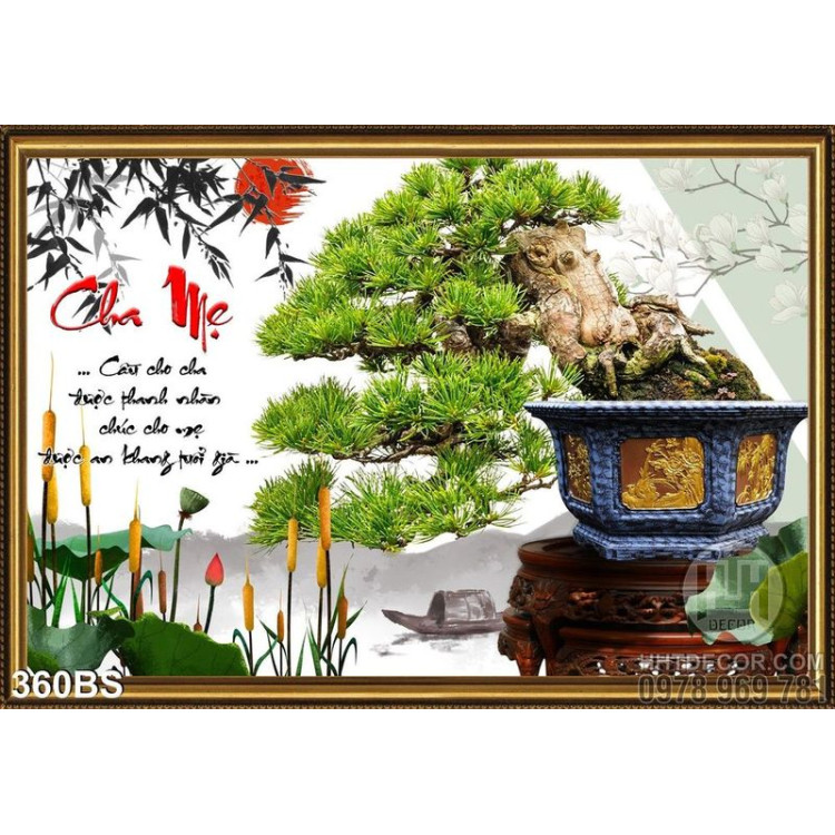  Chậu bonsai gốc lớn ấn tượng chữ cha mẹ