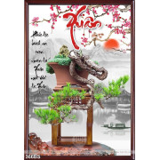  Chậu bonsai đón xuân 2020 đẹp lạ
