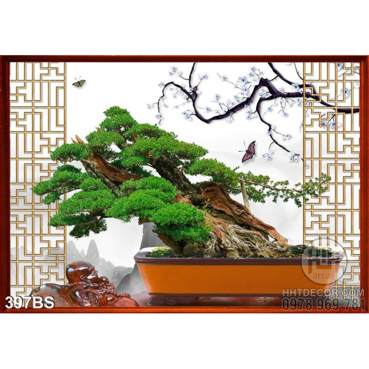  Chậu bonsai gốc lớn và khung cửa sổ