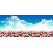 Tranh cánh đồng hoa tulip màu hồng