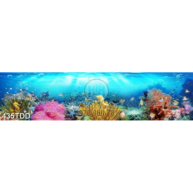 Tranh dãy san hô màu sắc dưới biển file gốc