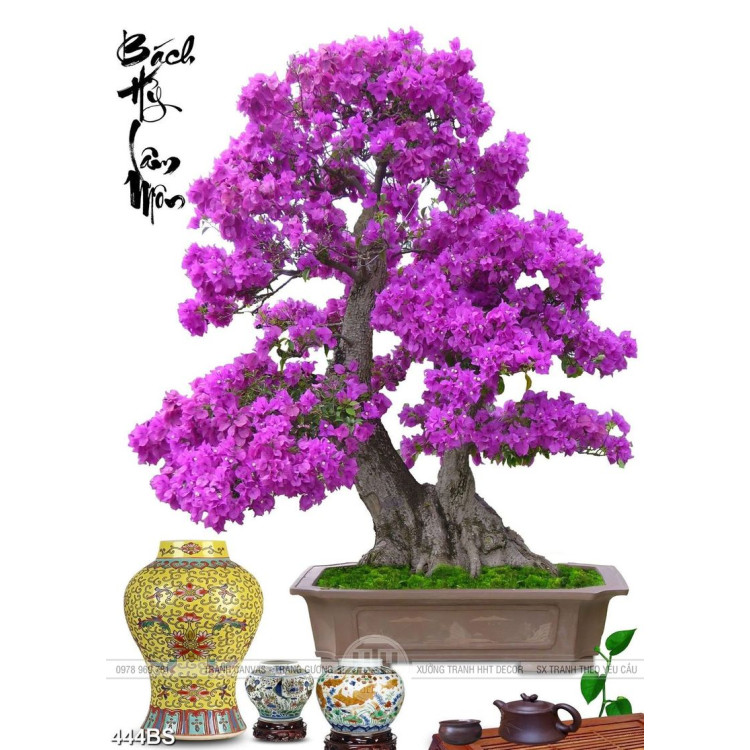 Tranh chậu bonsai hoa giấy màu tím mộng mơ 3d dán tường
