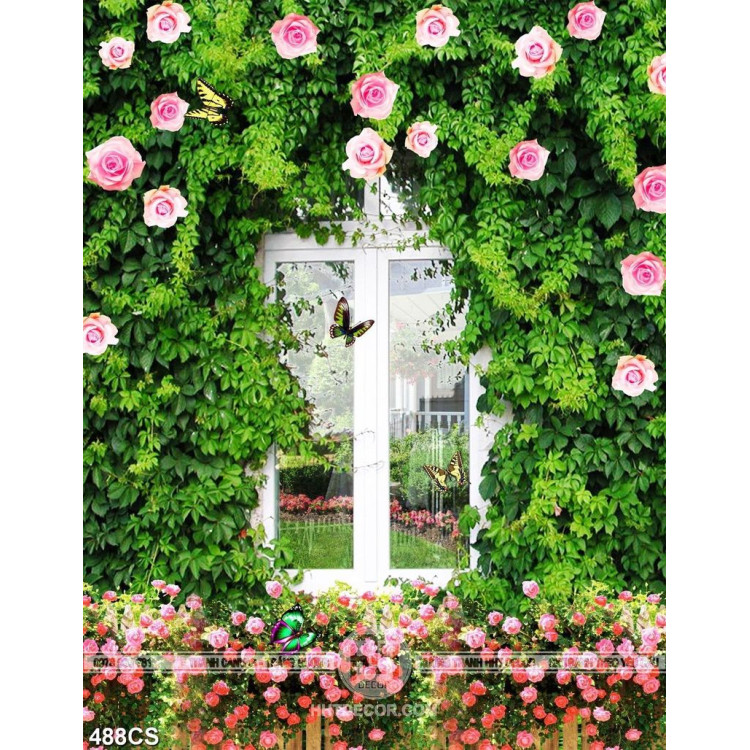 Tranh dán tường dàn hoa hồng bên ô cửa sổ chất lượng cao