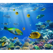 Tranh hang động san hô và đàn cá dưới đáy đại dương