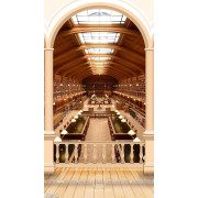 Tranh thư viện đọc sách phong cách Tây Âu file gốc 