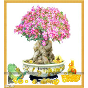Tranh chậu bonsai in gạch men cây hoa sứ khoe sắc đón tết