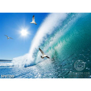 Tranh chim hải âu và sóng biển xanh ngắt