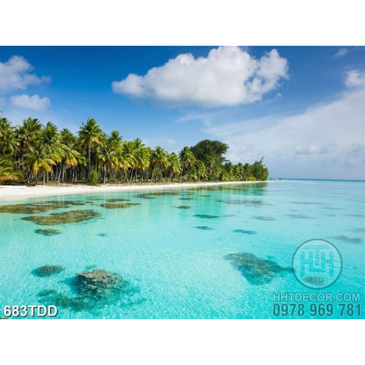 Tranh đảo dừa và biển xan mênh mông chất lượng cao