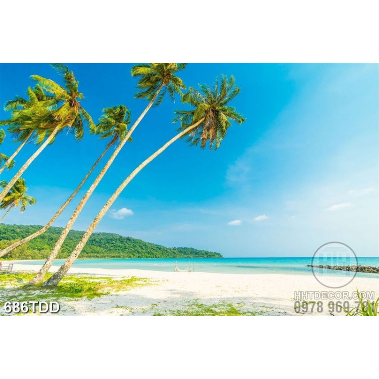 File tranh gốc hàng dừa trên đảo xanh siêu nét