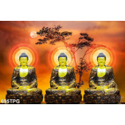 Tranh tượng Phật 3D đẹp