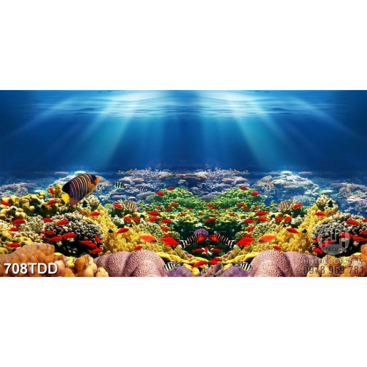 Tranh quần thể san hô và đàn cá dươi đáy đại dương file gốc